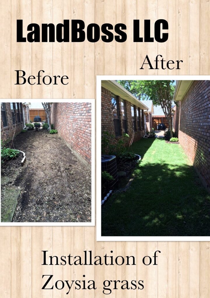 Before And After Installation Of Zoysia Grass