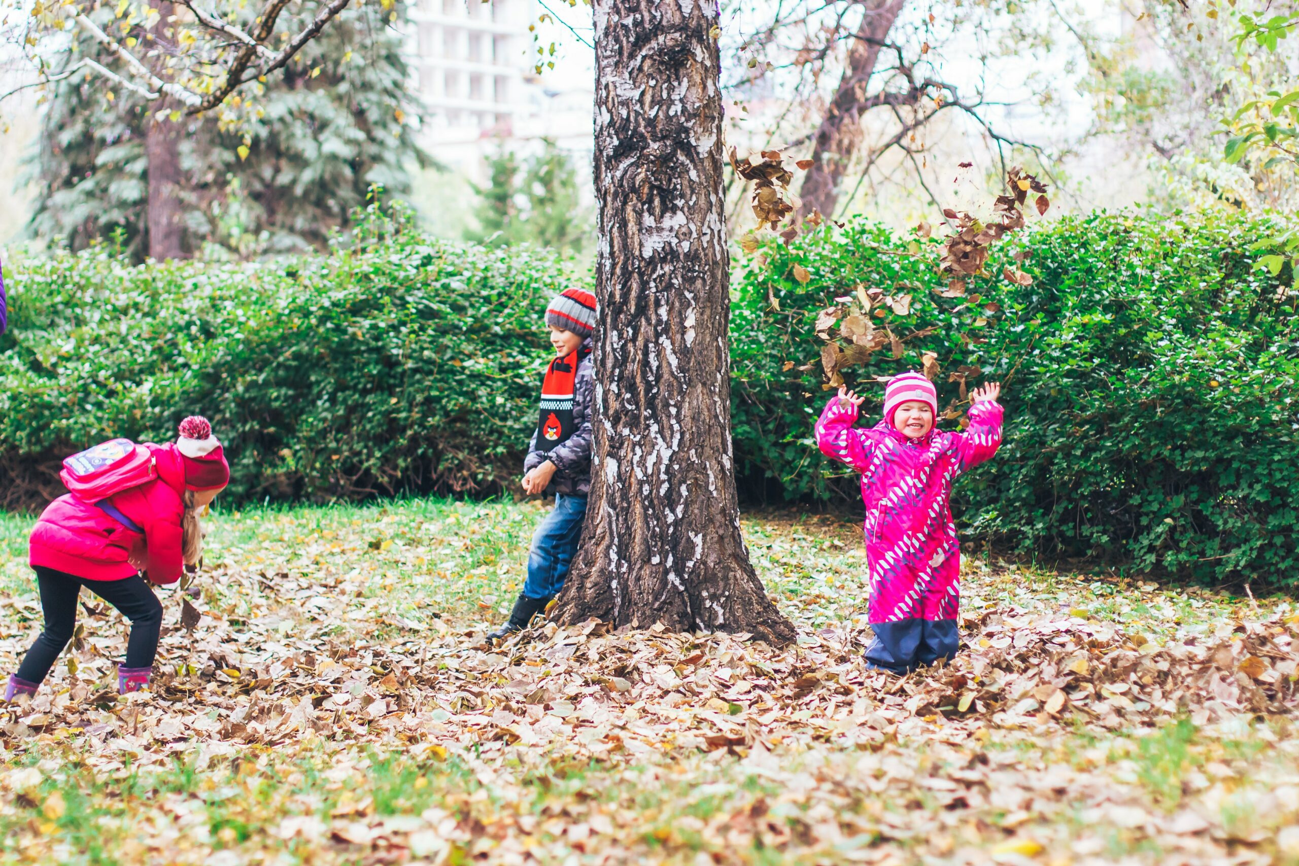 Children Playing in Autumn Leaves